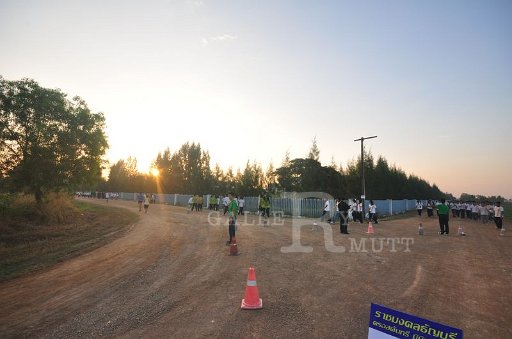 DSC_0249 - Copy (2).JPG
